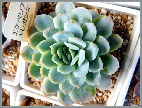 DSCN0040