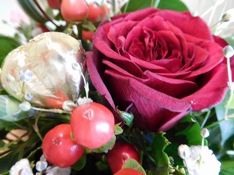 DSCN3968