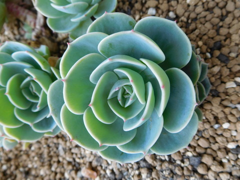 DSCN1695