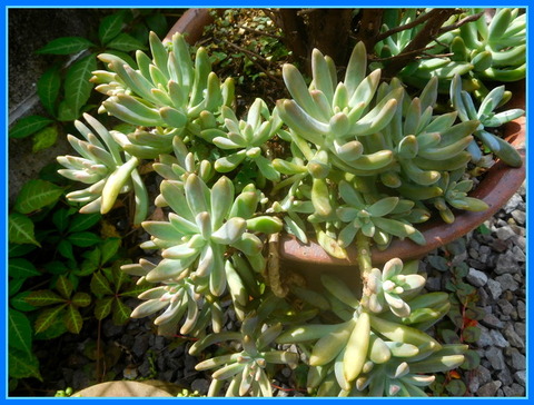 DSCN3886