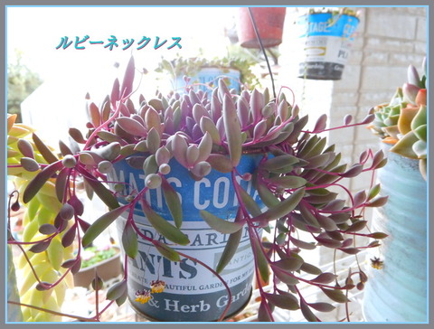 DSCN1074