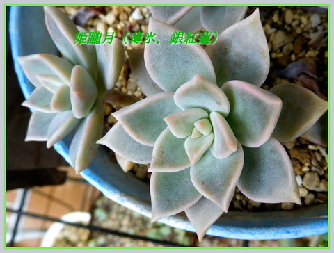 RSCN9816