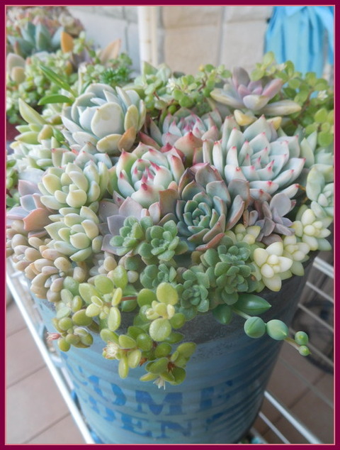 DSCN1256