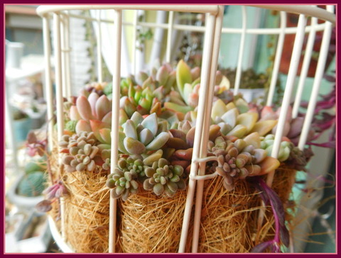 DSCN0073