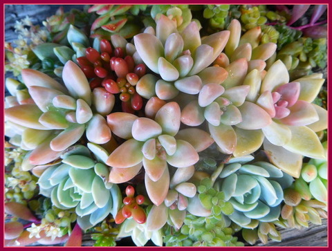 DSCN1153