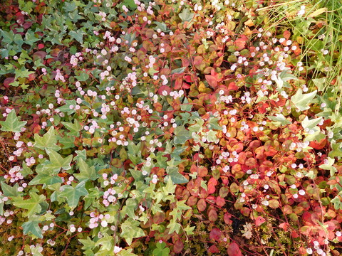 DSCN0307