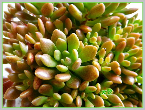 DSCN1104