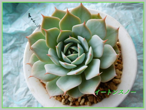DSCN1121