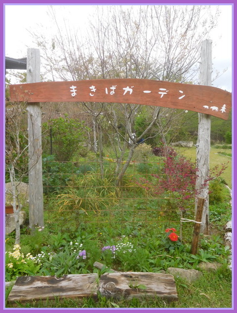 DSCN2248