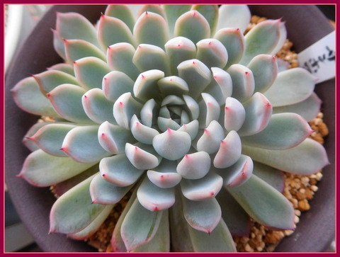 DSCN1214