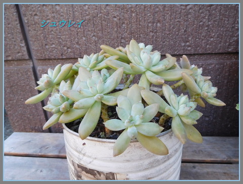 DSCN9939[1]