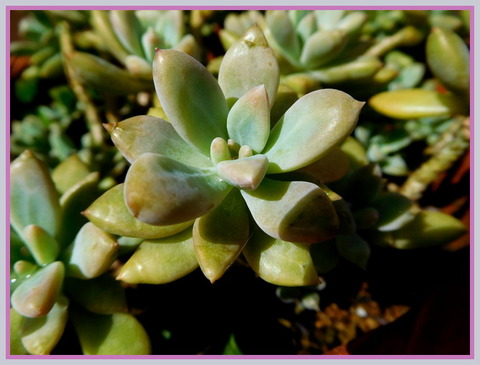 DSCN9872