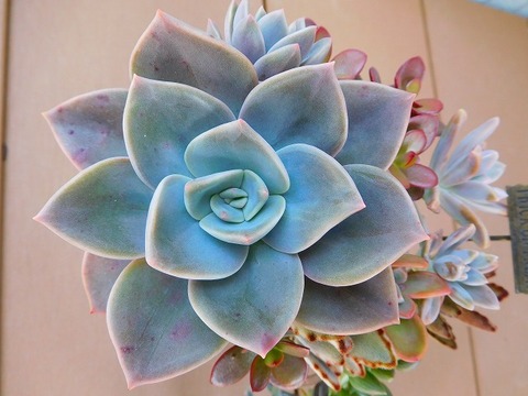 DSCN5752