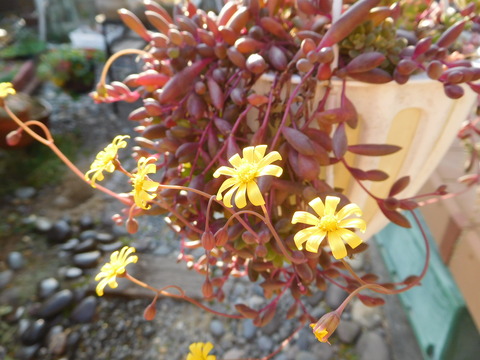 DSCN1462