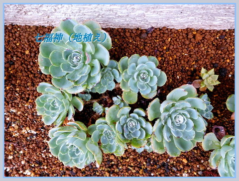 DSCN0174