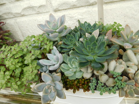 DSCN0049