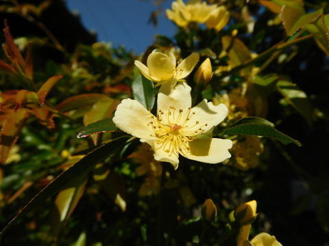 DSCN9919