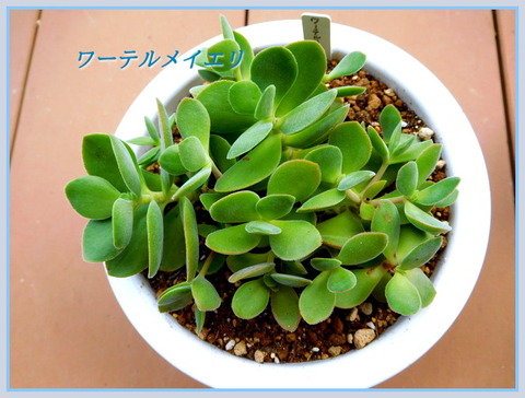 DSCN0139[2]
