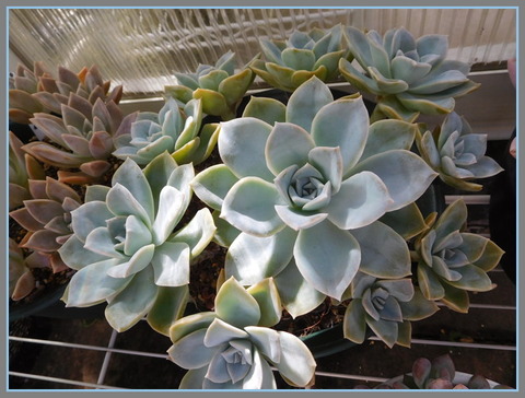 DSCN9927[4]