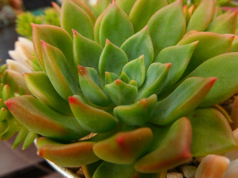 DSCN9956