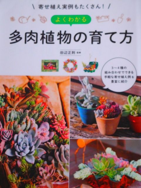 DSCN0198