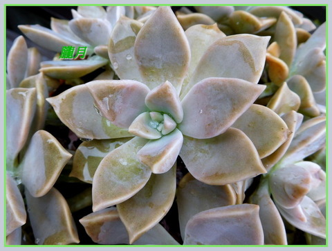 DSCN1368