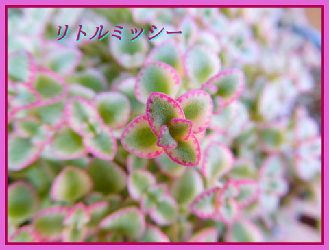 DSCN0323[1]