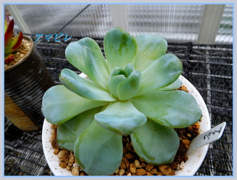 DSCN0196