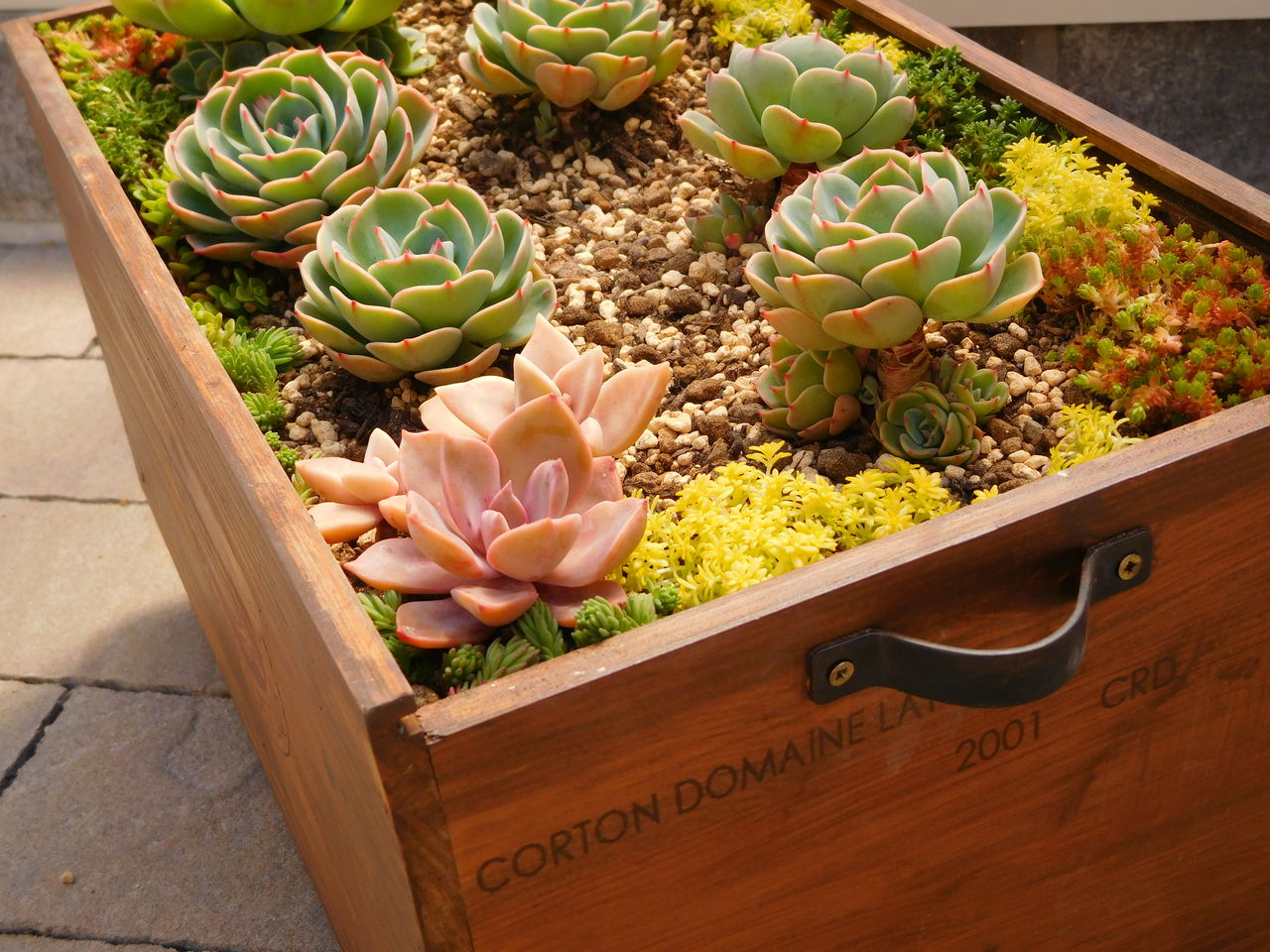 手づくり 日々の暮らし ワイン箱の多肉プランターを作りました