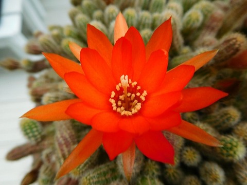 DSCN1195