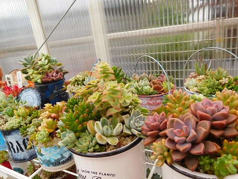 DSCN6143