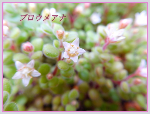 DSCN9918