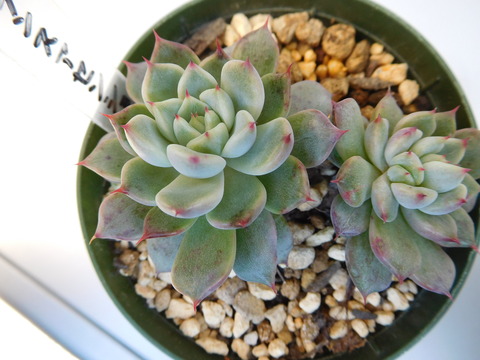 DSCN0297