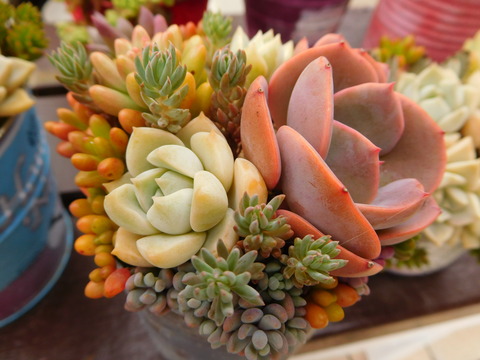 DSCN9957