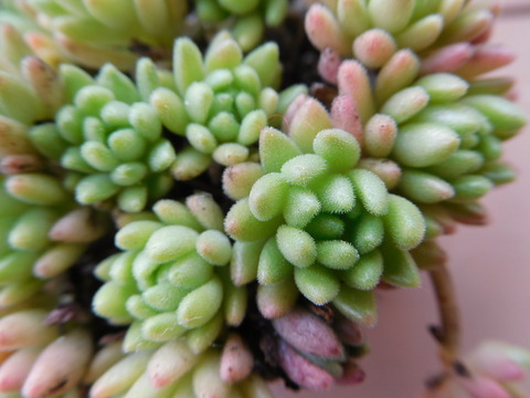 DSCN1657