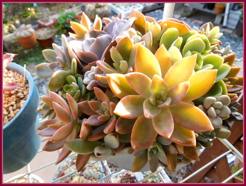 DSCN1405