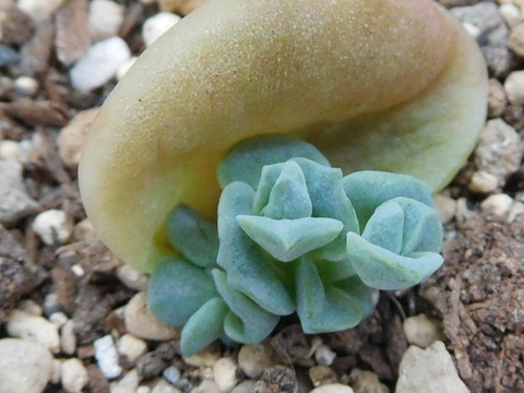 RSCN0174
