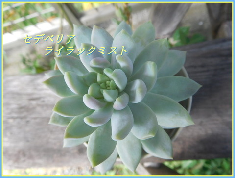 DSCN0476