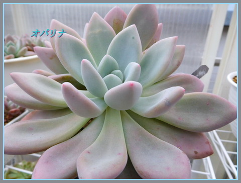DSCN0343[2]