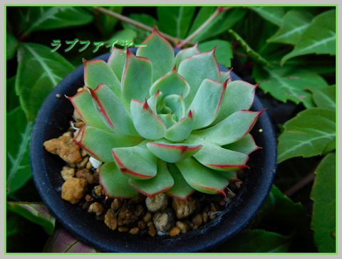 DSCN0491[1]