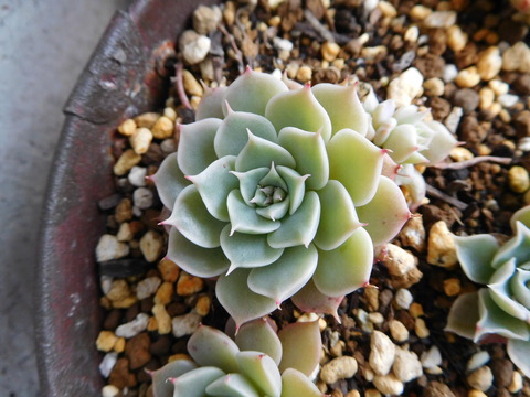 DSCN0961