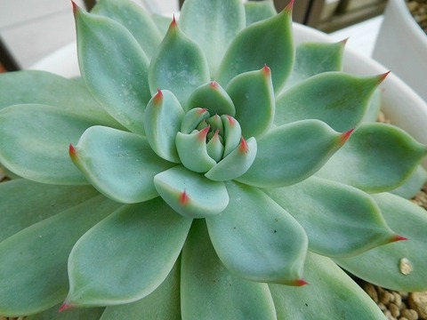 DSCN2972