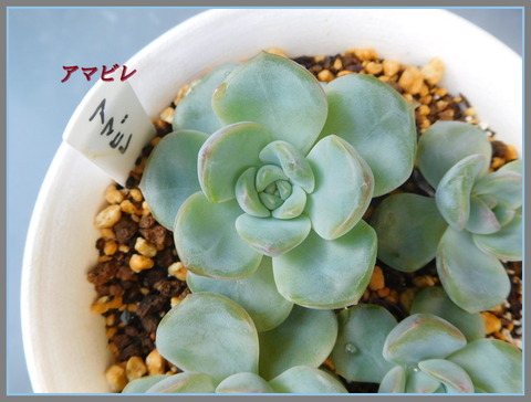 DSCN0315[2]