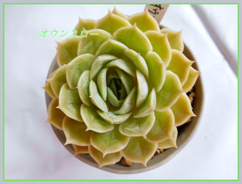 DSCN0886