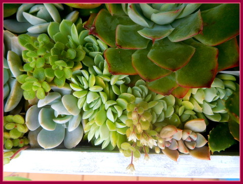 DSCN0752
