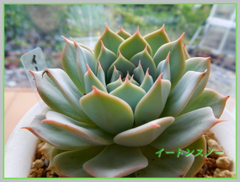 DSCN1123