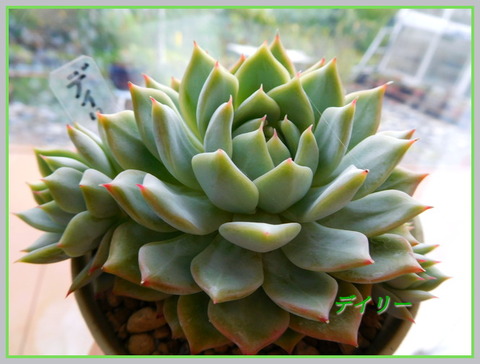 DSCN1125