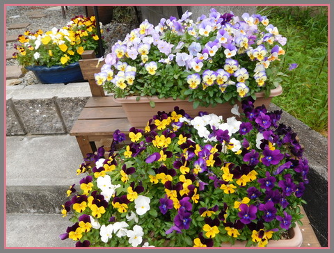 DSCN0071