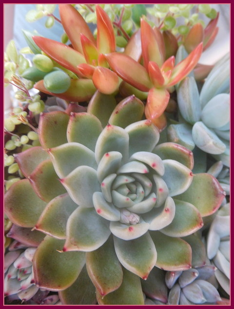 DSCN1262
