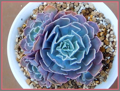 RSCN0843